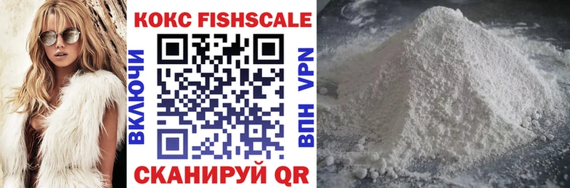 ссылка на мегу маркетплейс  Электрогорск  Кокаин Fish Scale 