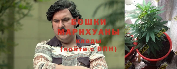 герыч Бронницы