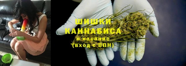 гашик Бородино