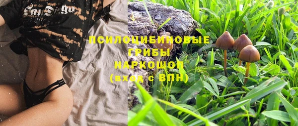 гашик Бородино