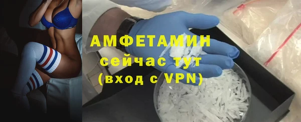 гашик Бородино