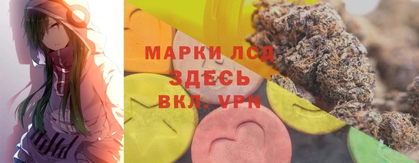 гашик Бородино