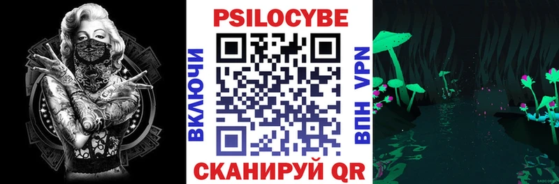 Галлюциногенные грибы Psilocybine cubensis  маркетплейс клад  Электрогорск  купить наркотики цена 